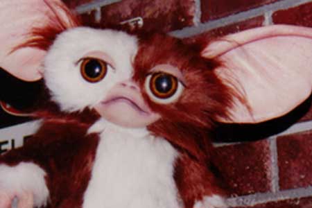 Gizmo theme park character
